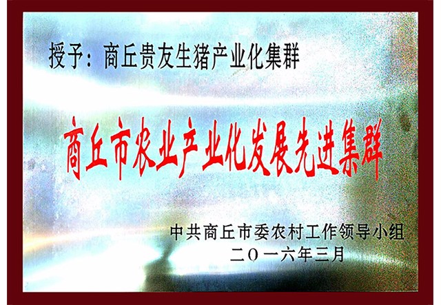 商丘市農業(yè)產(chǎn)業(yè)化發(fā)展先進集群